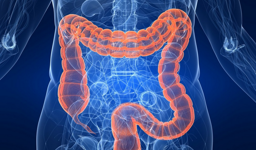 Flush out harmful waste with Colon Cleansing